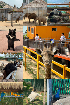西霞口神雕山野生动物园旅游景点攻略图