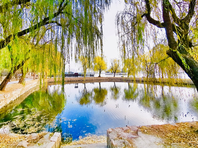 "石湖公园-冬日里的一抹绚烂_石湖景区"的评论图片
