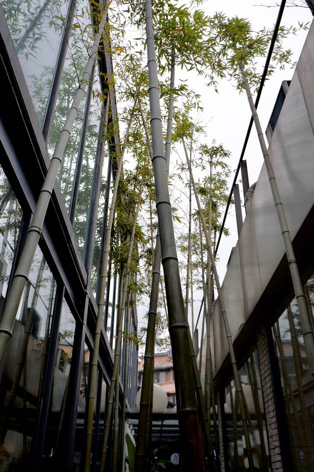 北仓图书馆(北仓文创街区店)