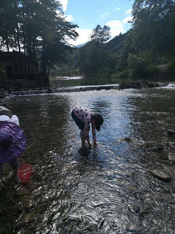 "带我们去看了美丽的高山百合，把最美好的祝愿送给了我们！对各种石头情有独钟的崽崽一路捡了不少_天然盆景园"的评论图片