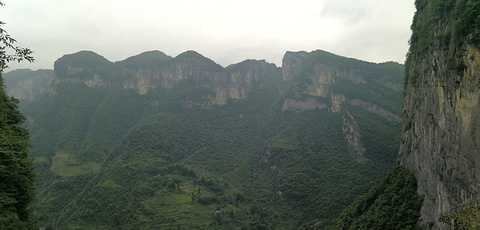 鹿院坪旅游景点攻略图