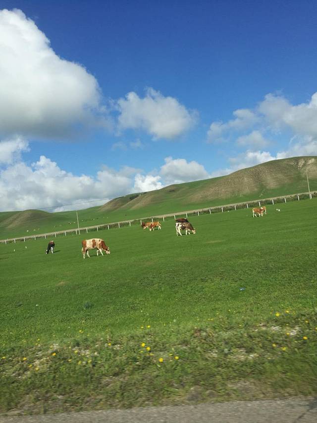 阿尔山海神圣泉旅游度假区-阿尔山滑雪场