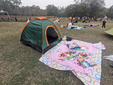 成都植物园旅游景点攻略图