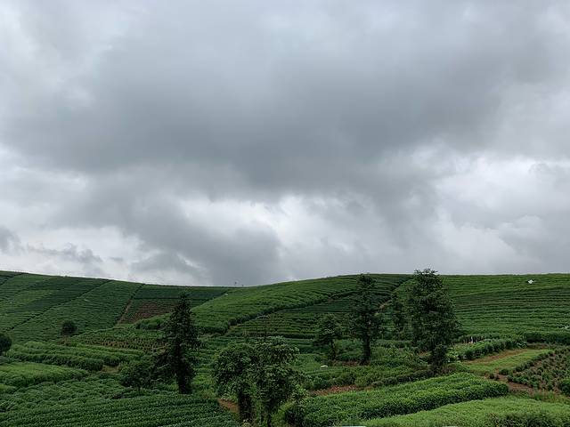 杭州西湖风景名胜区-西山森林公园