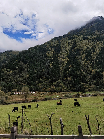 "川西小众旅游路线🏔️_川西竹海景区"的评论图片