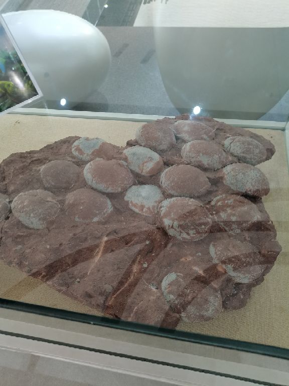 白垩纪国家地质公园