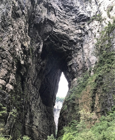 "🌸天坑地缝 | 距离重庆最近的喀斯特地貌自然景观_武隆"的评论图片