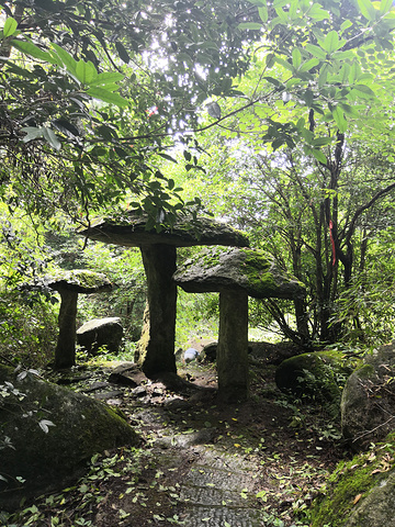 "那就开始徒步下山，看到麻姑仙境，准备去看看。日出🌄没看到，只好顶着大风前往祝融峰。五岳收集中，耶✌_南岳衡山风景名胜区"的评论图片