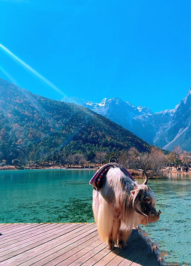 水月阁1、2、3号停车场乘车处