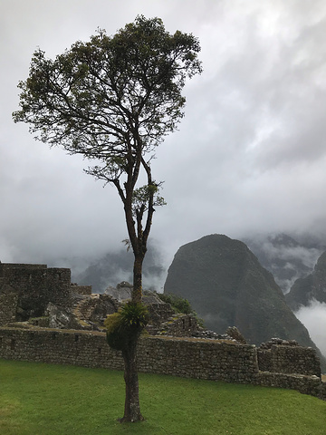 "随后盘山路蜿蜒而上，来到遗址。加上下雨天，雨大的时候，路面上的雨水流成了河。烟雾缭绕着周围的山峰_马丘比丘"的评论图片