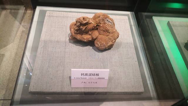 大连自然博物馆