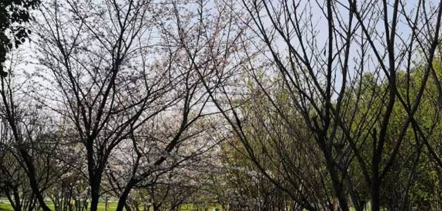 康缘医药科技园