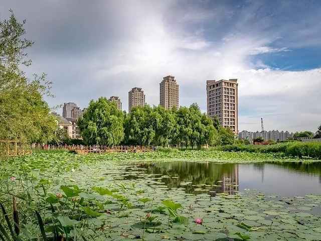 哈爾濱雨陽公園