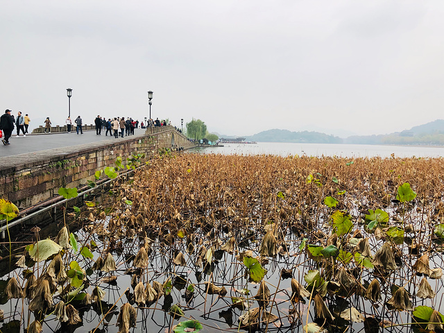 "乘坐地铁游览杭州西湖，品尝杭州美食，骑共享单车感受杭州街景，逛中国丝绸城，悠闲的时光里静静地体味……_断桥残雪"的评论图片