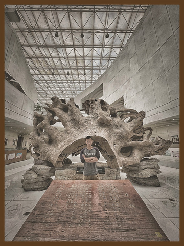 "这一个大片区都是和“木”相关的聚集景点，门票：20元名称：上海木文化博物馆博物馆一共三层，_上海木文化博物馆"的评论图片