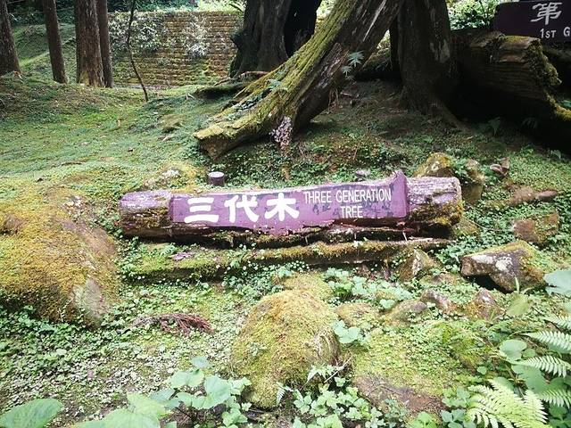 三代木(櫻木花道)