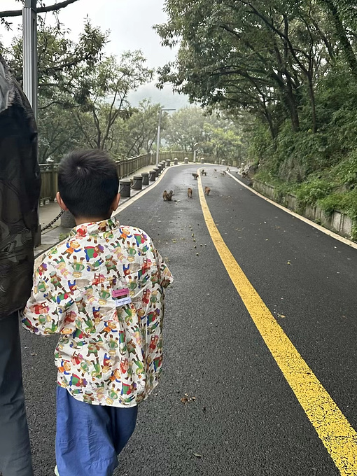花果山图片