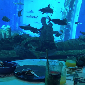 三亚亚特兰蒂斯酒店·OSSIANO UNDERWATER RESTAURANT & BAR奥西亚诺海底餐厅旅游景点攻略图