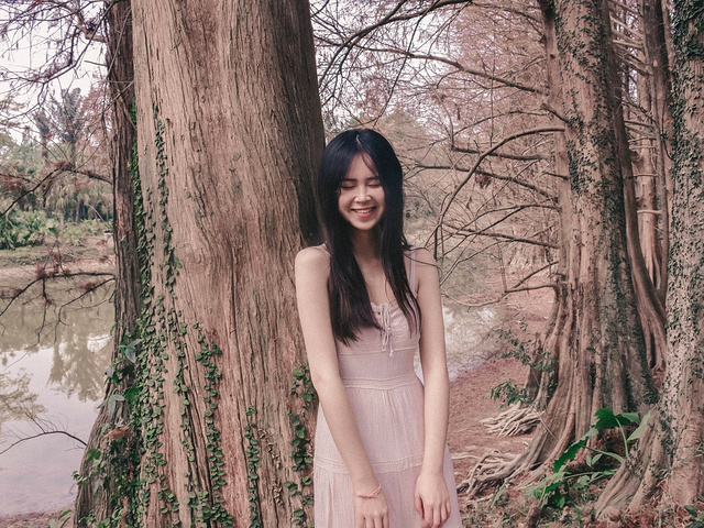 "广州市内的森林 | 森女系风格走起_中国科学院华南国家植物园"的评论图片