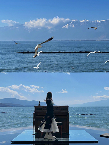 "大理🌊我找到了离海鸥最近的海边民宿！_大理璞素设计师海景度假酒店"的评论图片