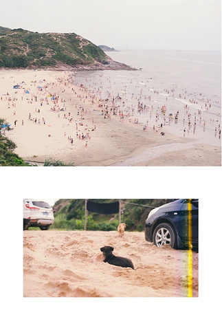 "周末带心爱的狗狗穿越山和大海吧——深圳周边自驾小众海岛_惠东"的评论图片