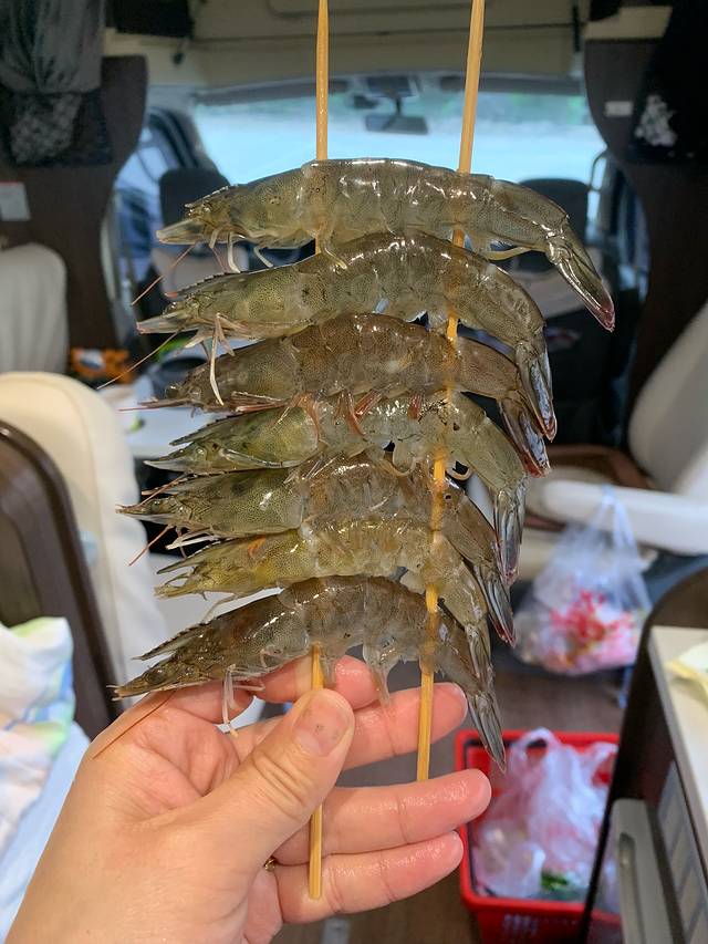 大沙洼海水浴场