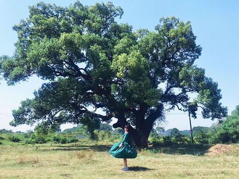 江畔古村旅游景点图片