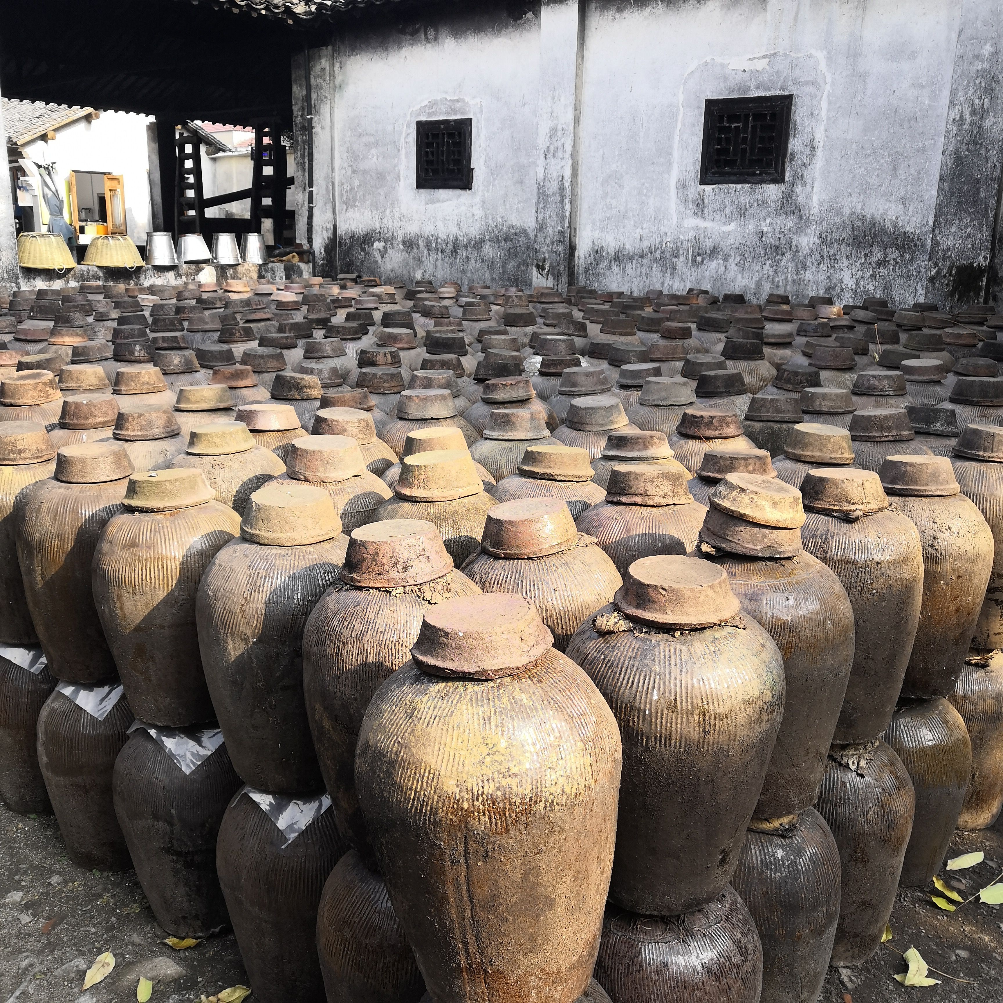 2022三白酒作坊玩乐攻略,现场有试喝的地方,有兴趣的.【去哪儿攻略】