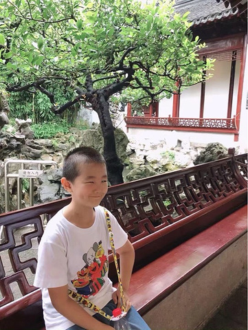 "上海豫园带娃全攻略-体验古代园林艺术之美_上海"的评论图片