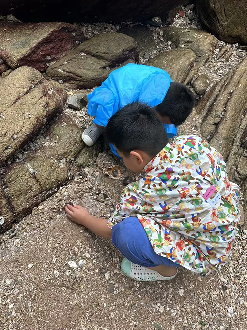 羊山岛图片