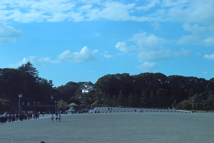 "但是，日本人最喜欢来这里参拜。路过日本天皇住的地方_明治神宫"的评论图片