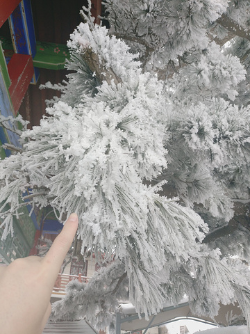 "华山推荐_华山"的评论图片