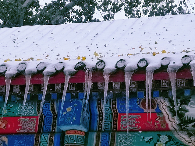 "_日坛公园"的评论图片