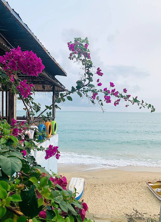 天涯热带海洋动物园