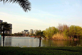 大宁灵石郁金香公园上海都市休闲一日游