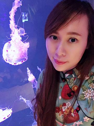 "_三亚亚特兰蒂斯失落的空间水族馆"的评论图片