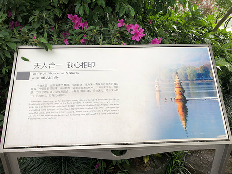 三潭印月旅游景点攻略图