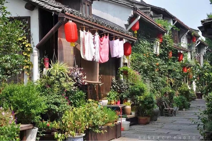 "杭州必玩小众景点——小河直街历史街区_杭州"的评论图片