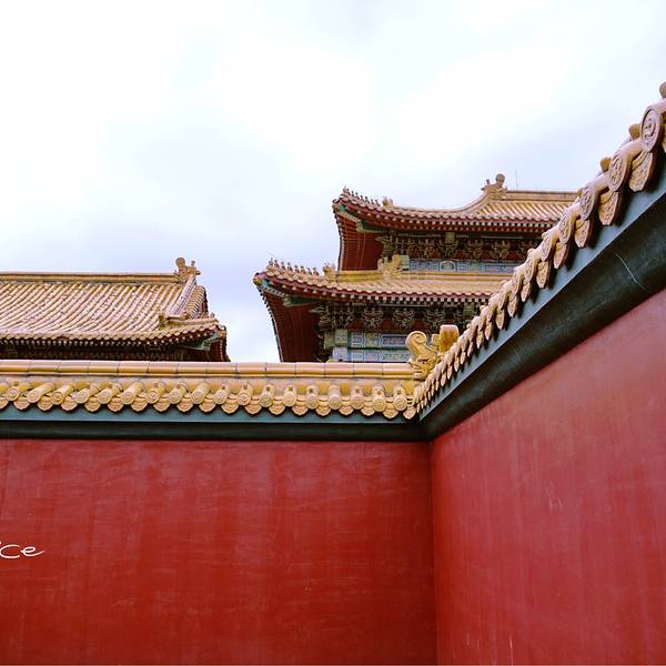 971b6b1d7ef15b9bef8390dbc286f7f9.jpg_600x600x70_05ff79ec.jpg