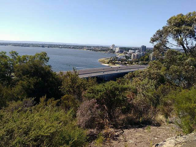 国王公园&植物园