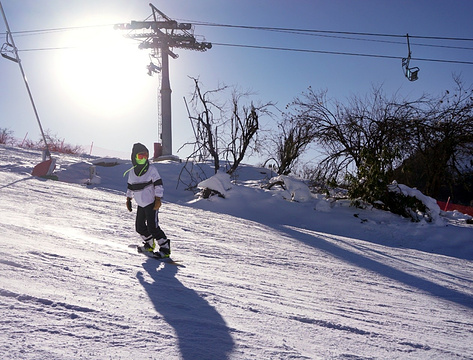 太子岭滑雪场旅游景点攻略图