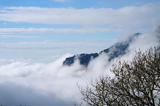 阿里山祝山