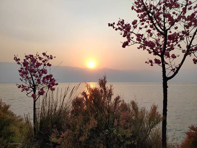 雪山峡谷演艺公园