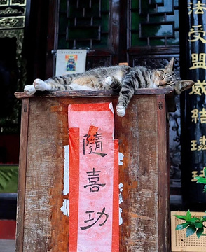 鹤鸣山景区旅游景点攻略图