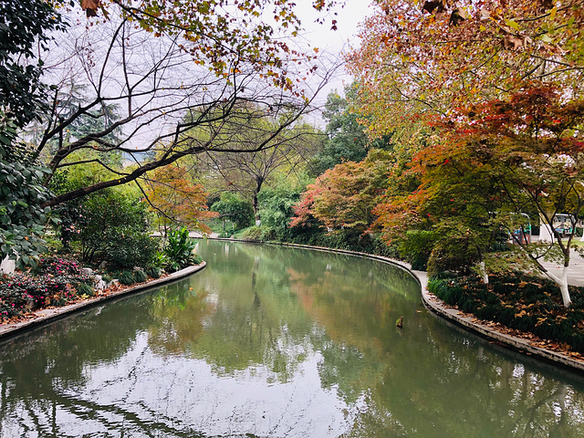 "乘坐地铁游览杭州西湖，品尝杭州美食，骑共享单车感受杭州街景，逛中国丝绸城，悠闲的时光里静静地体味……_断桥残雪"的评论图片