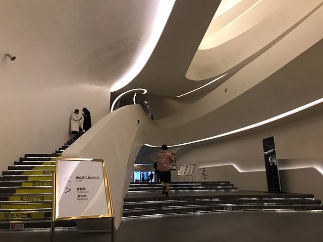 梅溪湖国际文化艺术中心大剧院