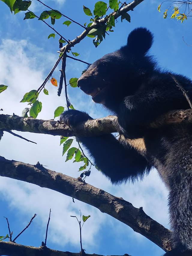 普洱国家公园犀牛坪景区