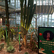 重庆光环购物公园室内植物园“沐光森林”