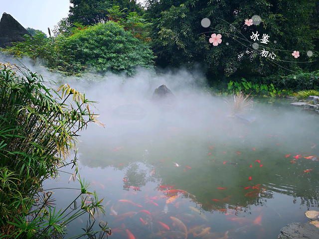 "喷出的水汽、水雾，水塘似乎成了仙境。在截流公园拍摄的，很是高大。荆州，却有意料之外的惊喜_三峡大坝旅游区"的评论图片