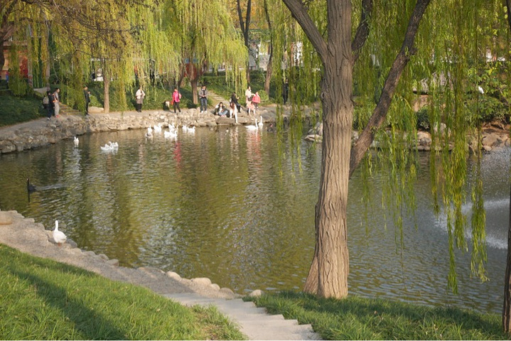 2021凤凰池游玩攻略,是一个小的人工池,水边杨柳 【去哪儿攻略】
